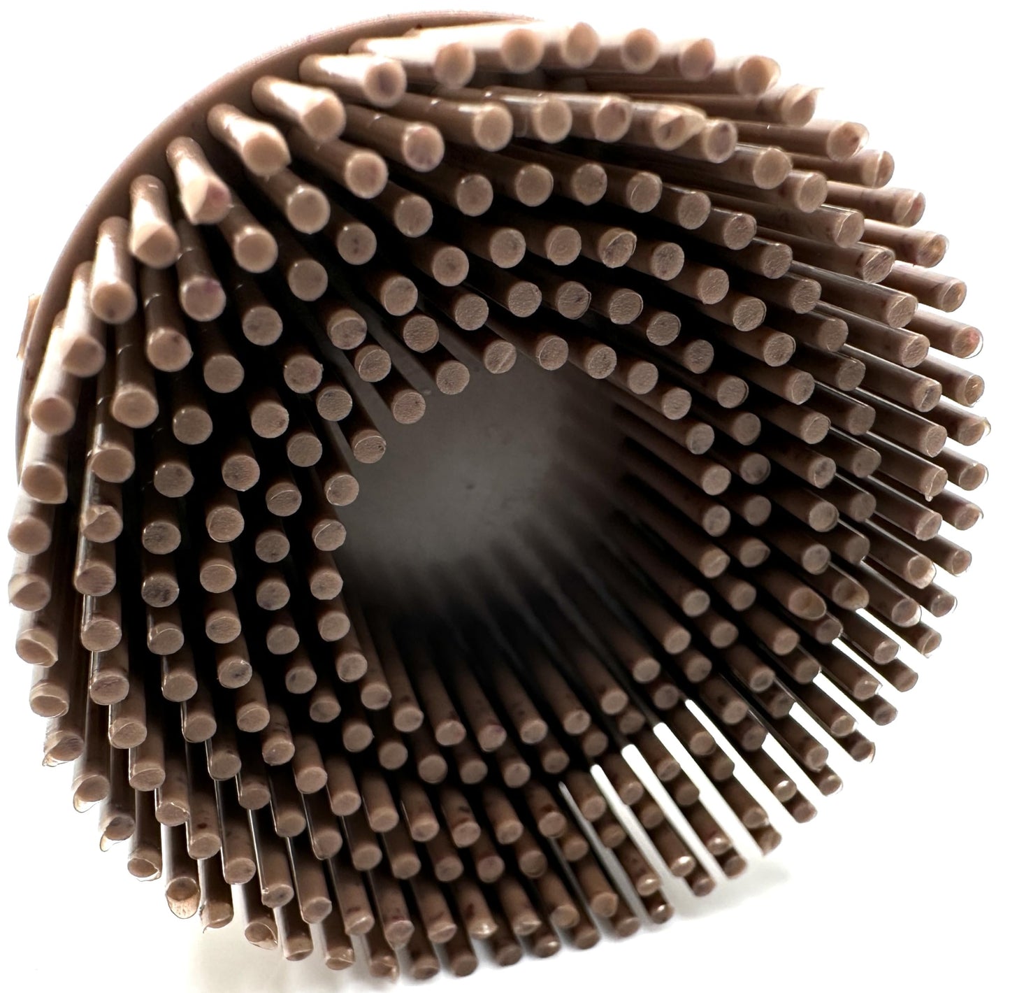 Pro-Graad 10 Pack 2" 36 Grit Brown R-Type Bristle Disc | Ceramic-Aluminum Oxide Abrasive Bristle Disc with Quick Change Roll Lock | Pack of 10 | Brown