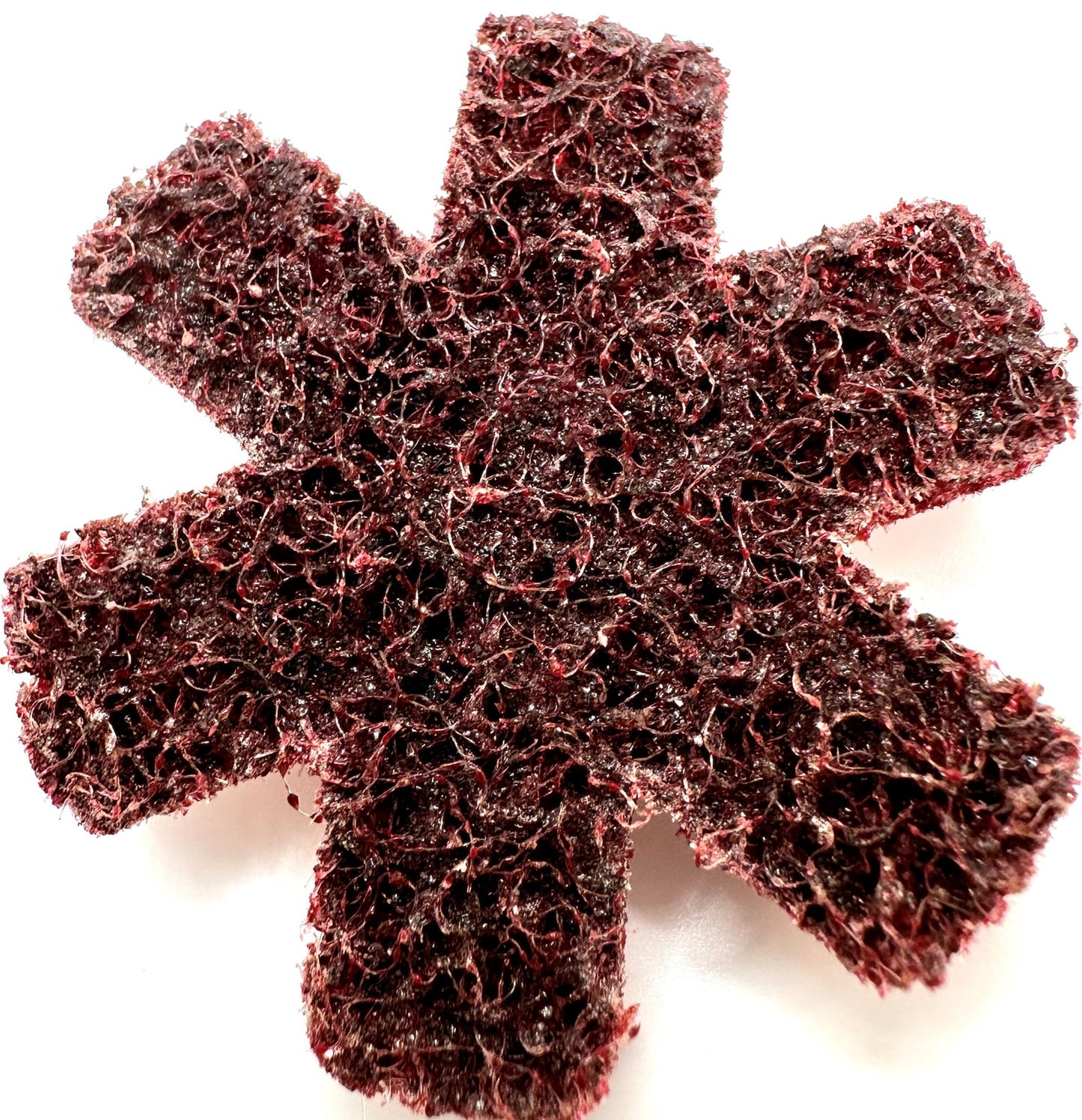 Pro-Graad 10 Pack 2” Medium Quick Change Surface Conditioning Stars, Ideal for Deburring, Polishing, Blending inside of cylinders, pipe, tubing, Excels on Aluminum, Steel, Titanium - Includes Holder