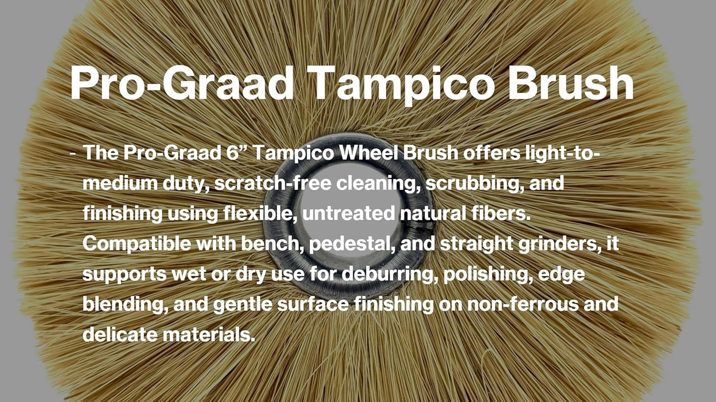 Pro-Graad 6” Tampico Wheel Brush, Natural Fiber Cleaning & Polishing Wheel for Bench Grinders, 1” Brush Width, 1” Arbor Hole, 2-1/2” Trim Length, Light to Medium Duty Scrubbing & Finishing