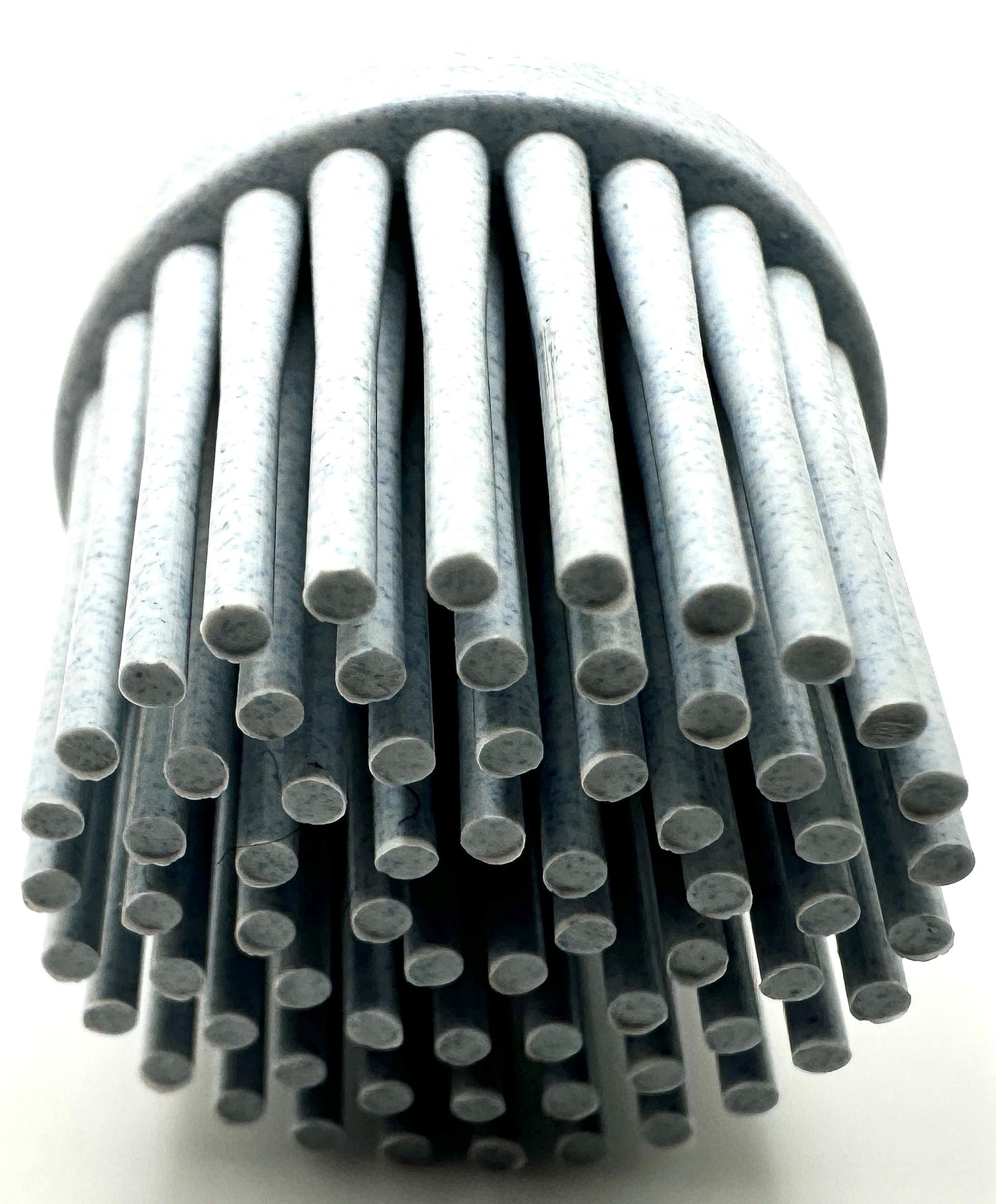 Pro-Graad 10 Pack 1" 120 Grit White R-Type Bristle Disc | Ceramic-Aluminum Oxide Abrasive Bristle Disc with Quick Change Roll Lock | Pack of 10 | White