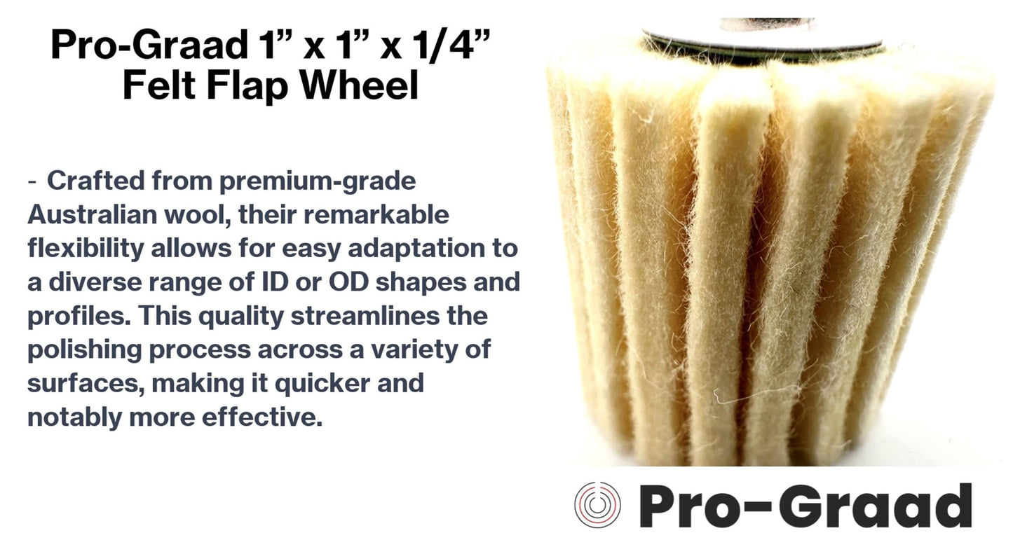 Pro-Graad 10 Pack 1" X 1" Felt Flap Wheel with 1/4" Shank Mounted, Perfect for Surface Finishing, Polishing, Buffing Plastics, Stone, Glass, Steel, Stainless, Aluminum and more, Pack of 10