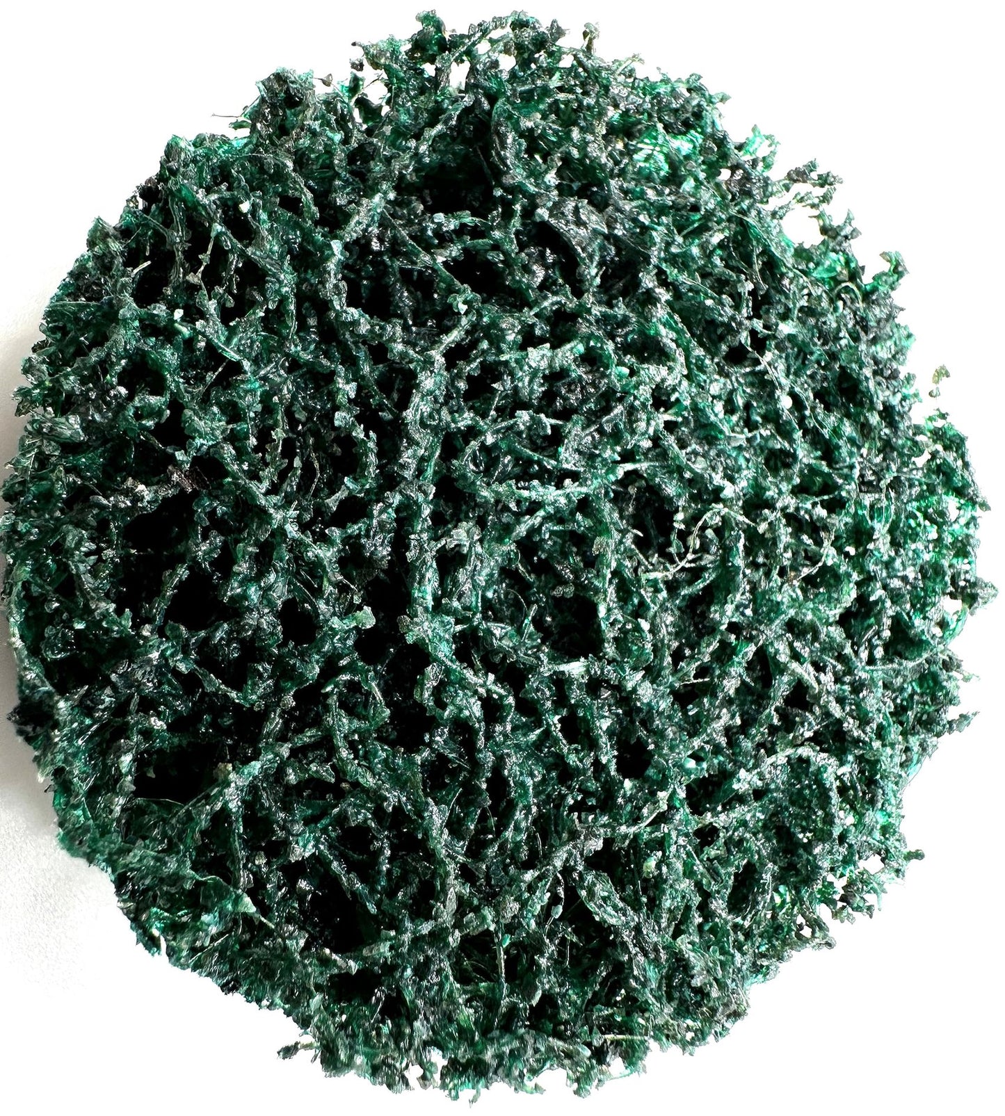 Pro-Graad 10 Pack 2" XT PRO Extra Cut Clean & Strip Disc, Roll Lock Quick Change, Green Professional Grade, Extra Coarse, Remove Heavy Rust Paint Corrosion, 21543