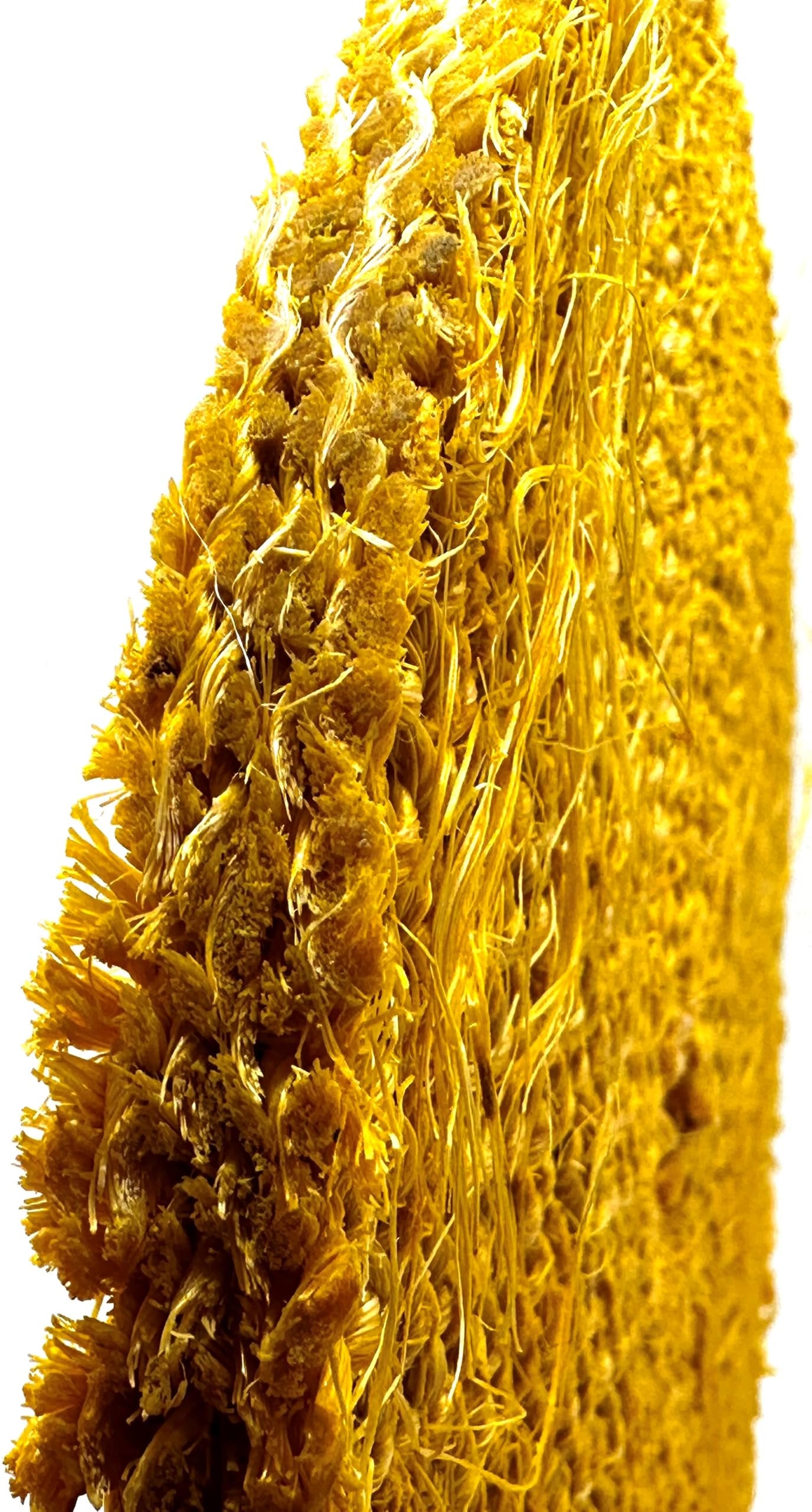 8 inch Yellow Dip Treated Rigid Full Sisal Buffing Wheel, 5/8 inch Arbor Hole, 1/2 inch Thickness, 1/4 inch Sewn, for Cut Buffing Steel, Stainless Steel, Ferrous Metals, 2 Pack