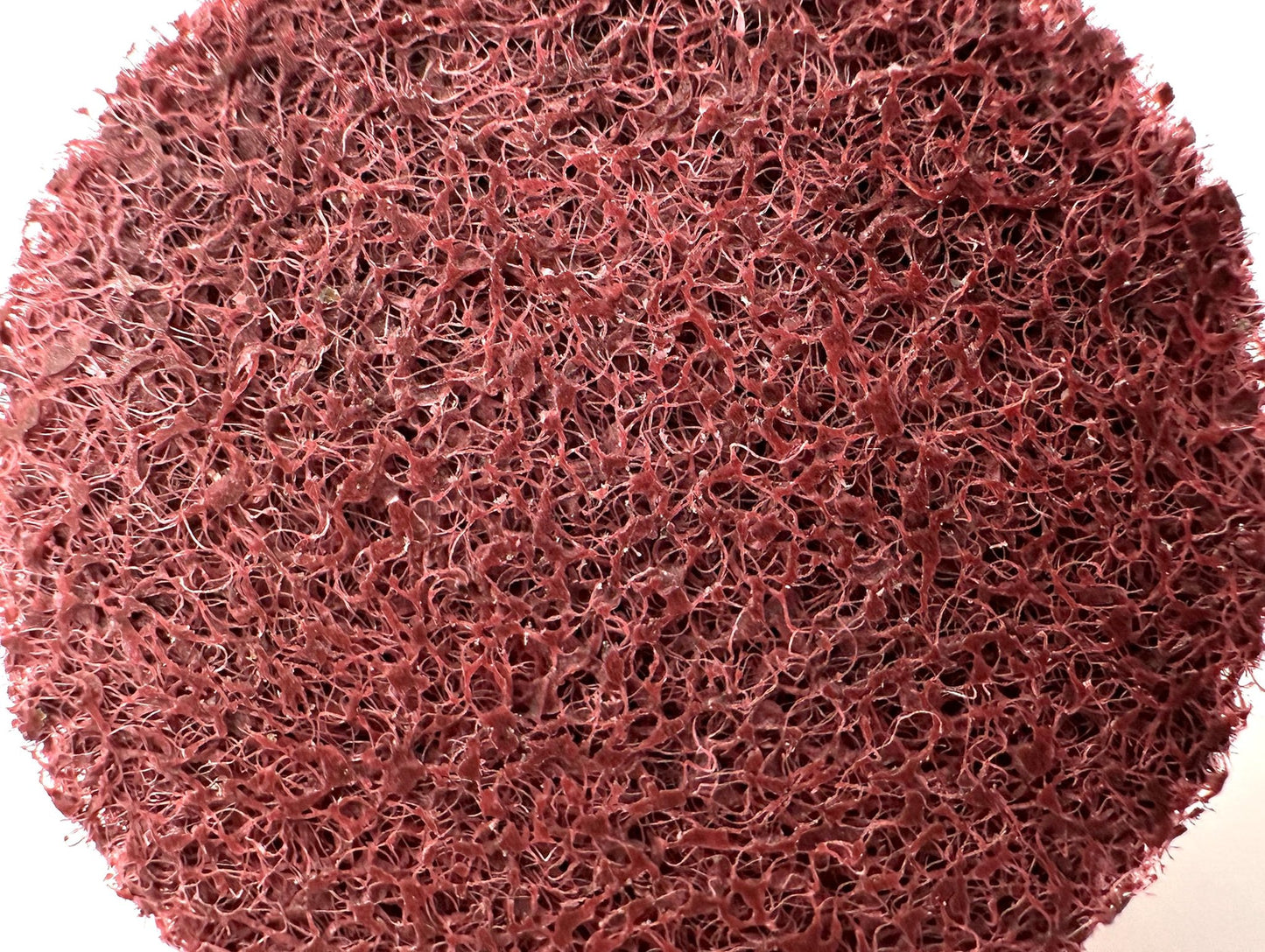 Pro-Graad 2" Quick Change Non-Woven Surface Preparation Discs for Deburring, Blending, Cleaning, Finishing, Polishing | Male R-Type Backing | Die Grinder Discs | (10 Pack) | (Red - Fine)